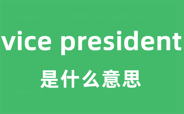 vice president是什么意思