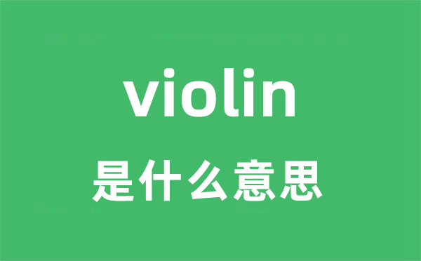 violin是什么意思