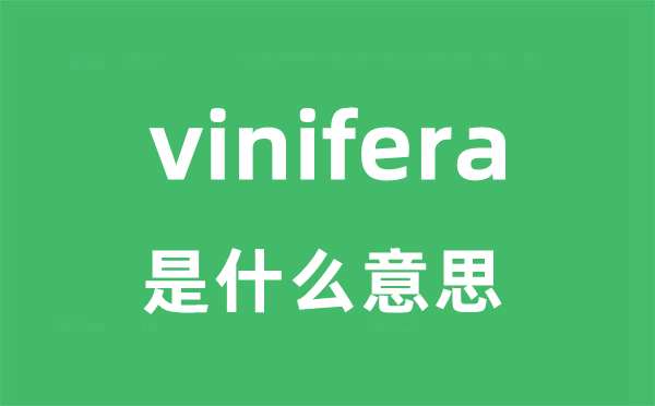 vinifera是什么意思