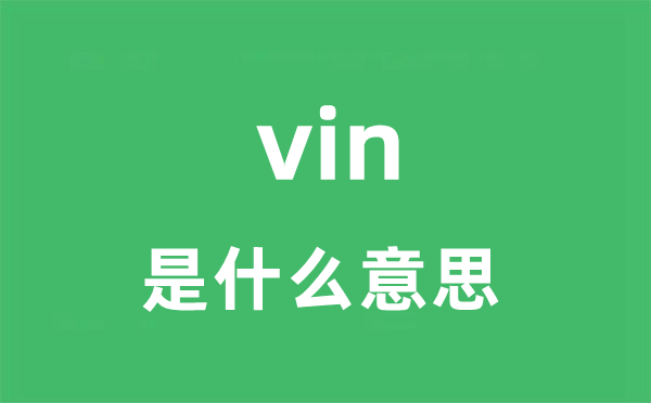 vin是什么意思