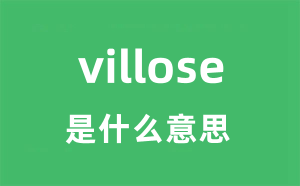 villose是什么意思