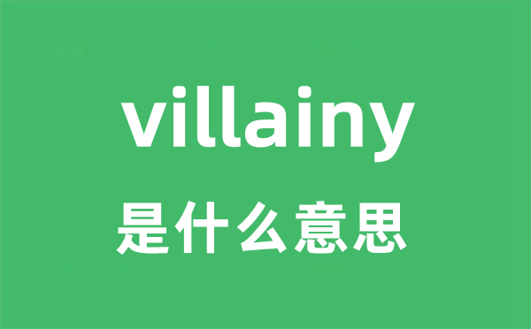 villainy是什么意思