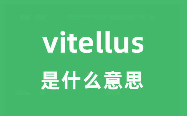 vitellus是什么意思