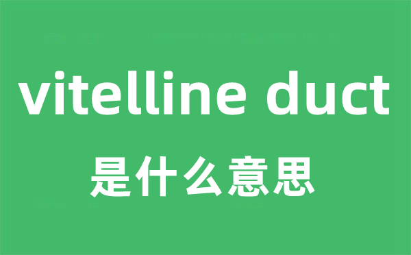 vitelline duct是什么意思