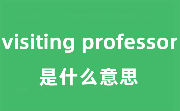 visiting professor是什么意思