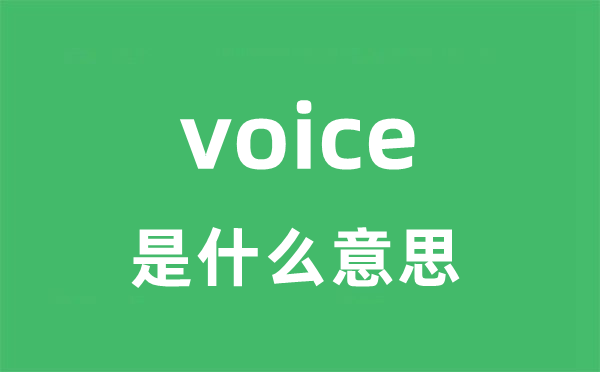 voice是什么意思