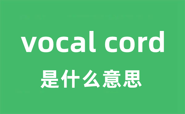 vocal cord是什么意思