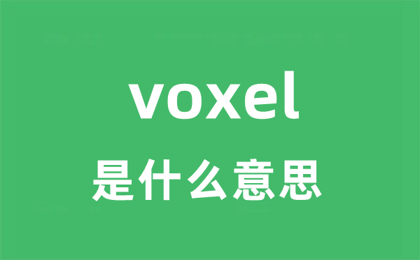 voxel是什么意思