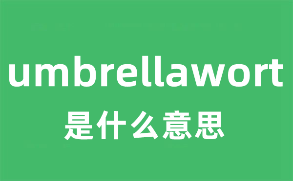 umbrellawort是什么意思