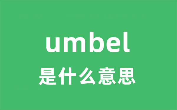 umbel是什么意思