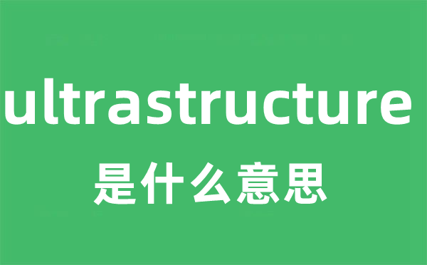 ultrastructure是什么意思