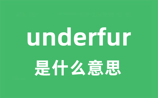 underfur是什么意思