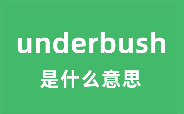 underbush是什么意思