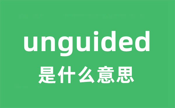 unguided是什么意思