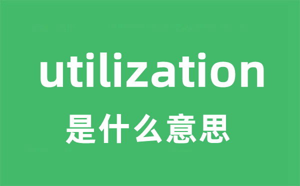 utilization是什么意思