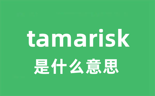 tamarisk是什么意思