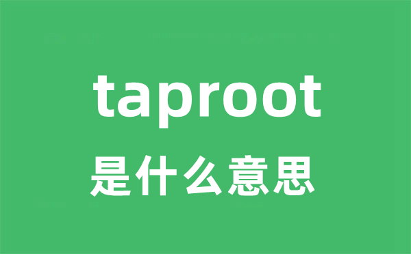 taproot是什么意思