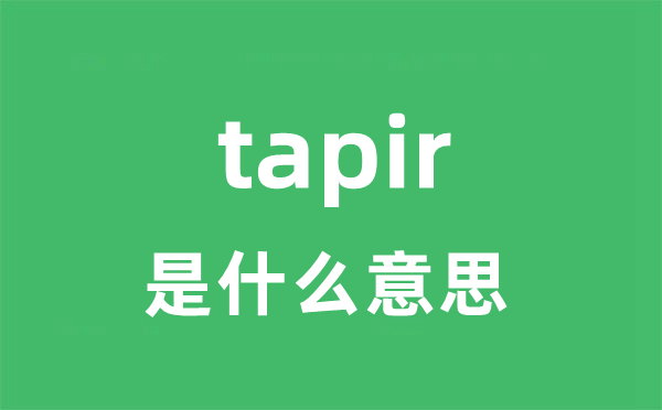 tapir是什么意思