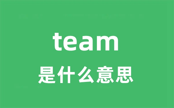 team是什么意思