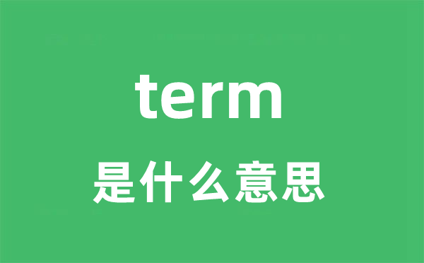 term是什么意思