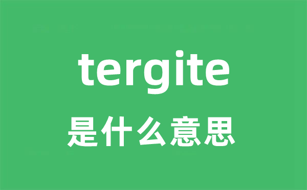 tergite是什么意思