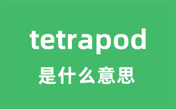 tetrapod是什么意思