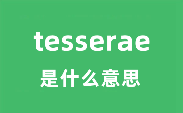 tesserae是什么意思