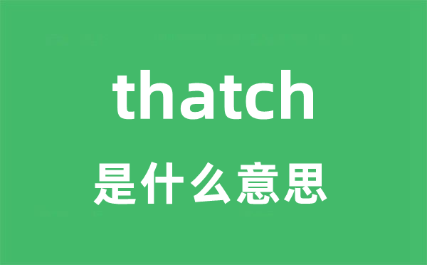 thatch是什么意思