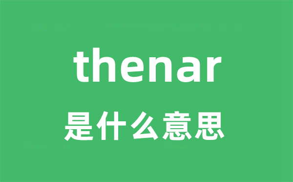 thenar是什么意思