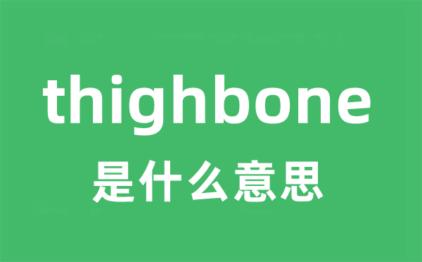 thighbone是什么意思