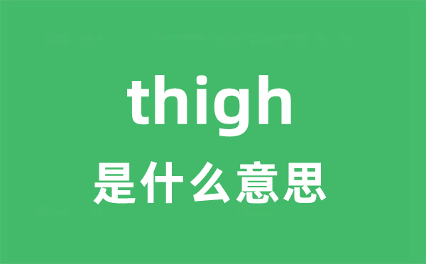 thigh是什么意思