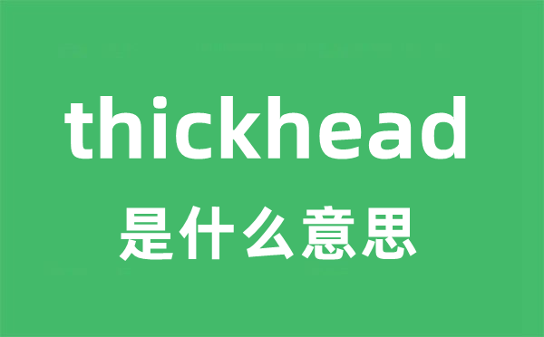 thickhead是什么意思