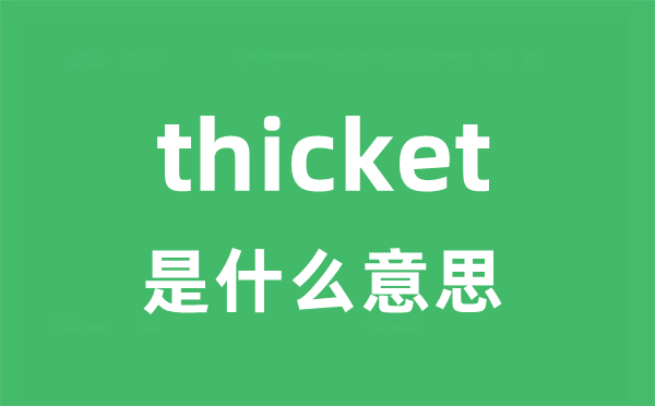 thicket是什么意思