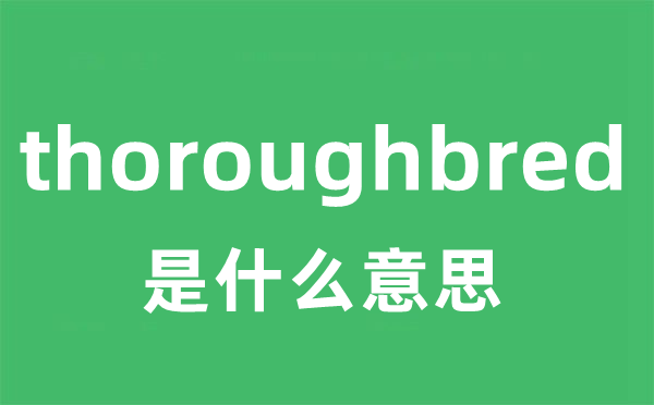 thoroughbred是什么意思