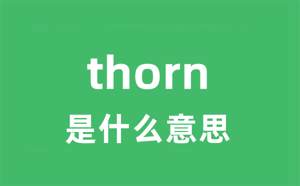 thorn是什么意思