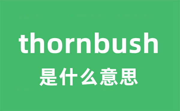 thornbush是什么意思