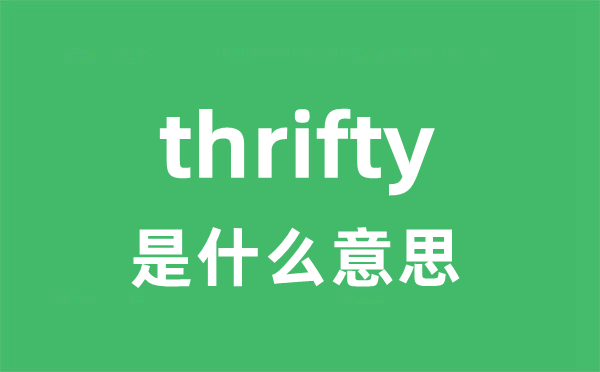 thrifty是什么意思