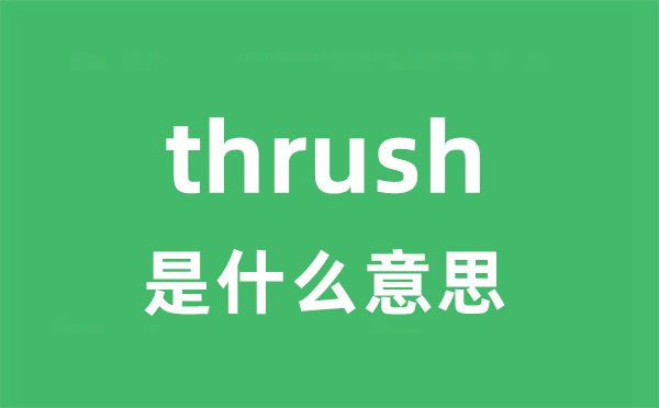 thrush是什么意思