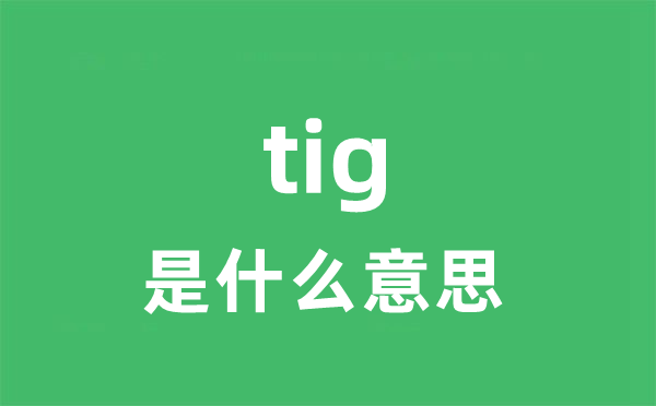 tig是什么意思