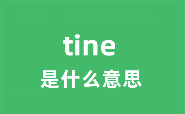 tine是什么意思