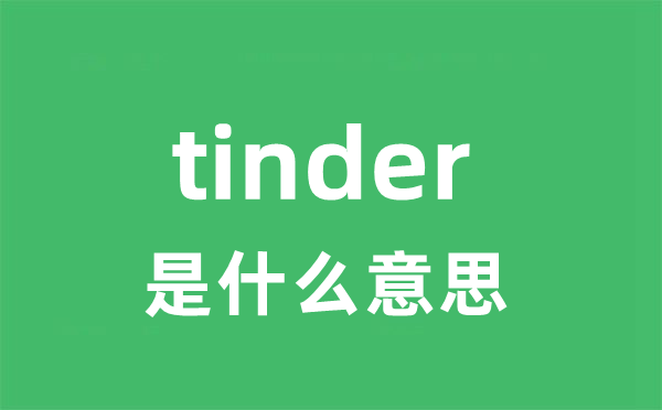 tinder是什么意思