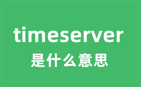 timeserver是什么意思