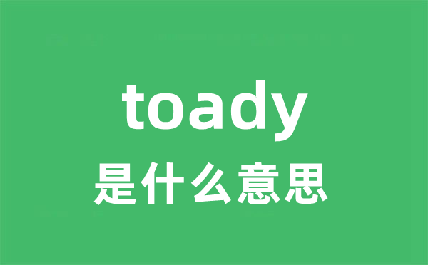 toady是什么意思