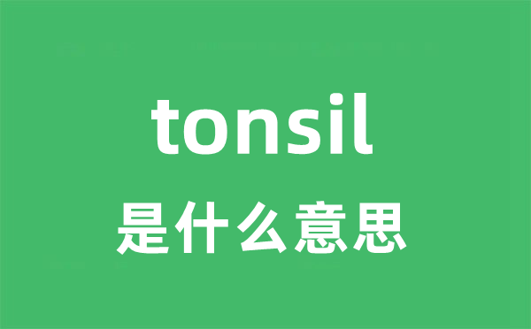 tonsil是什么意思