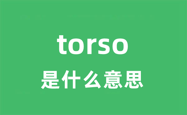 torso是什么意思