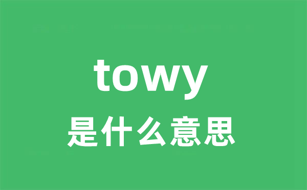 towy是什么意思