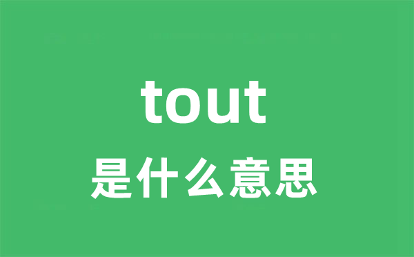 tout是什么意思