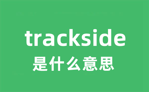 trackside是什么意思