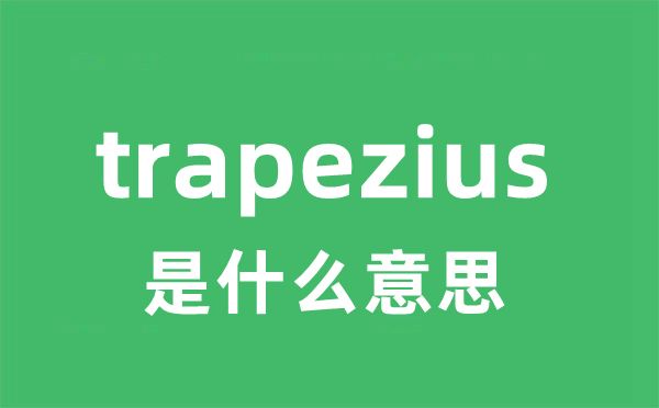 trapezius是什么意思