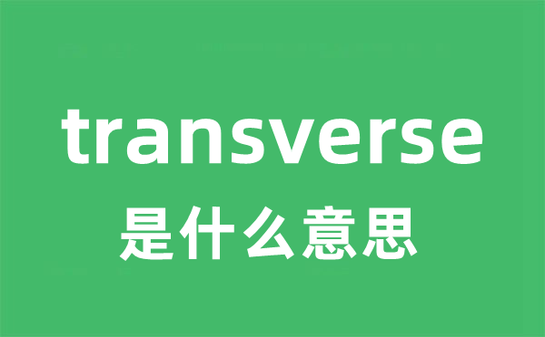 transverse是什么意思